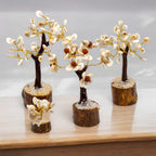 Set de 4 Arbres Gomati Chakra – Petit, Moyen, Grand & Rudraksha