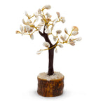 Grand Arbre Gomati Chakra – 60 Pierres