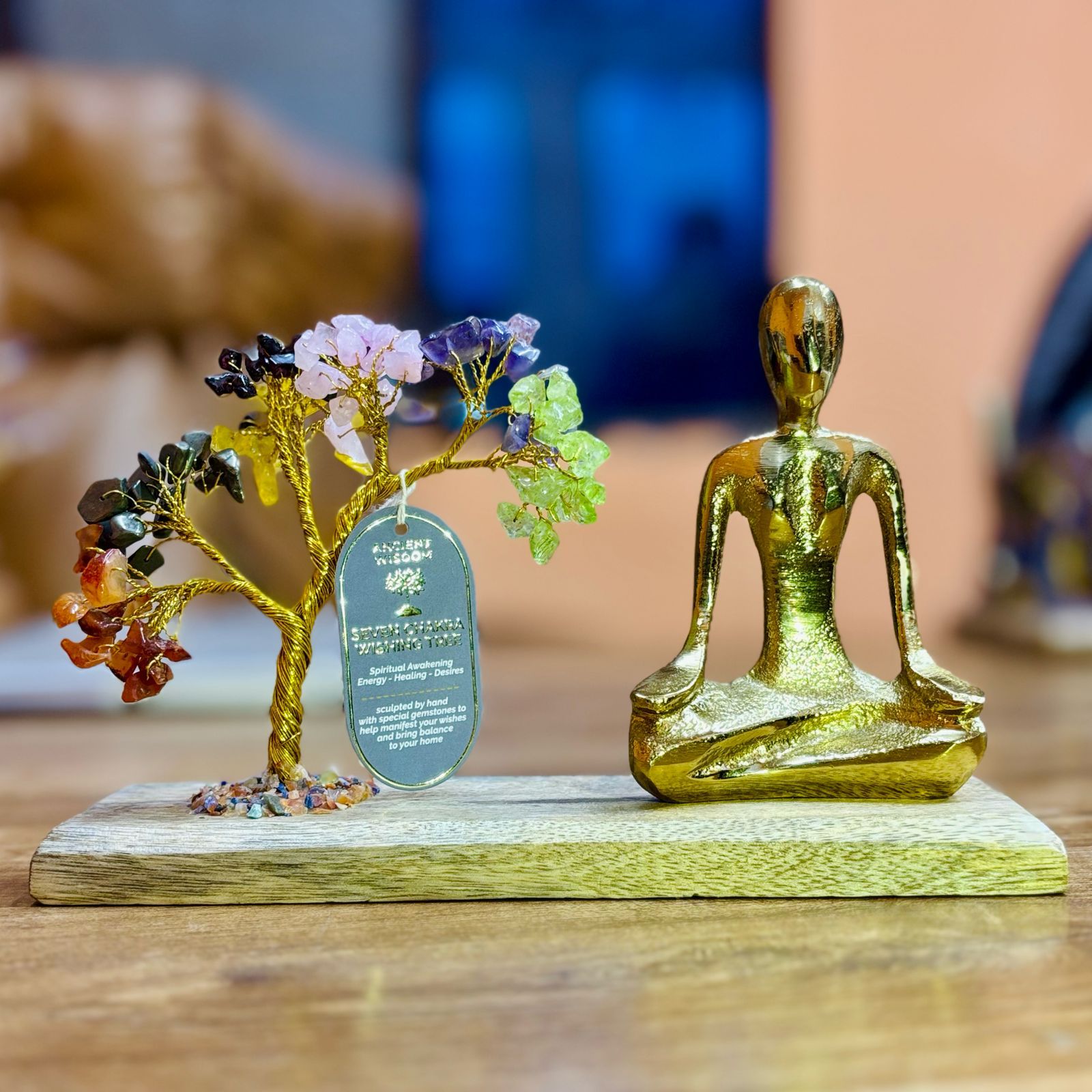 Jardin de Gemmes – Pose Mudra – 7 Chakras – 100 Pierres