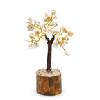 Arbre Gomati Chakra Moyen – 45 Pierres