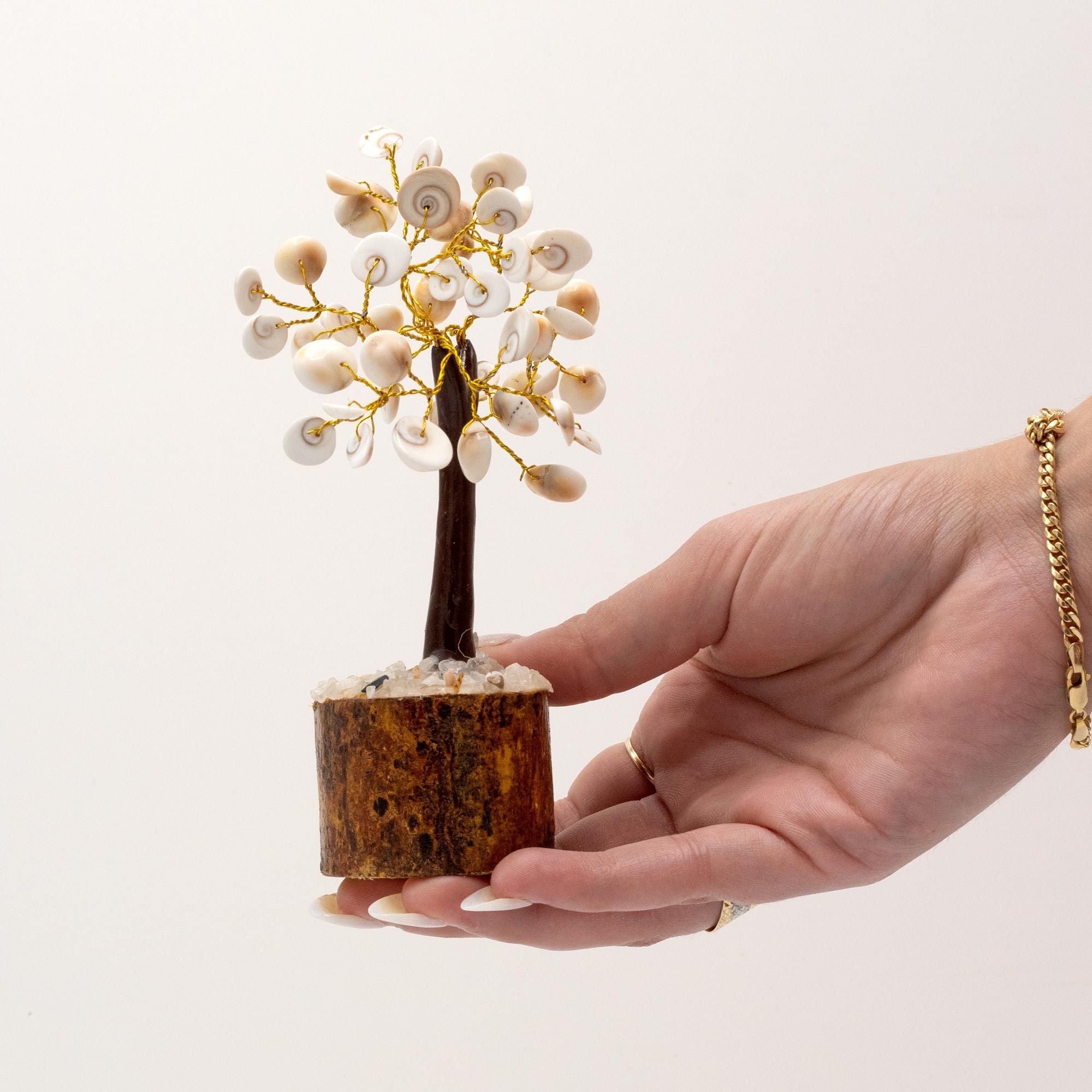 Arbre Gomati Chakra Moyen – 45 Pierres