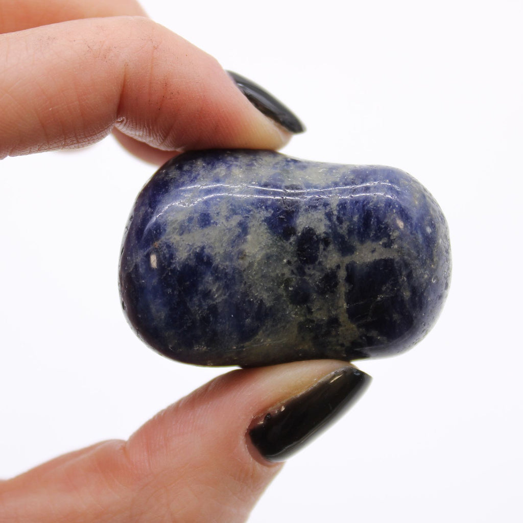 Lot de 6 Grosses Pierres Roulées – Sodalite Bleu Pur (Afrique)