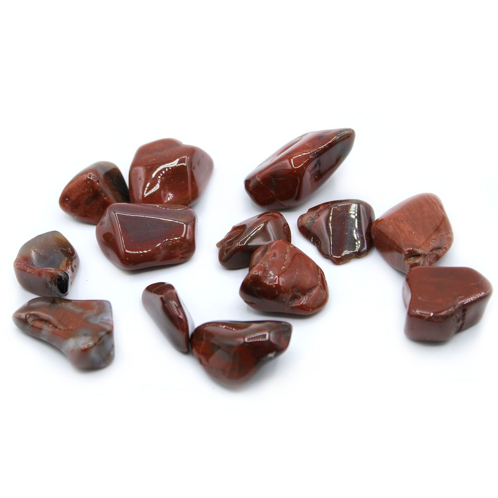 Sachet de 24 Grosses Pierres Roulées – Bois Pétrifié