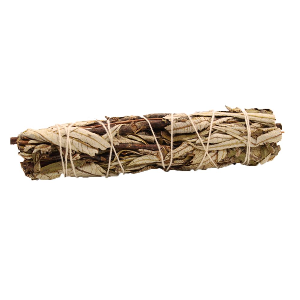 Bâton de Fumigation – Sauge Noire – 15 cm