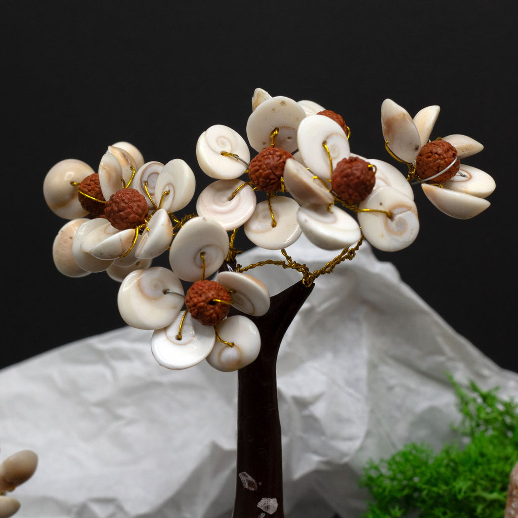 Arbre Gomati Chakra avec Rudraksha – 45 Pierres