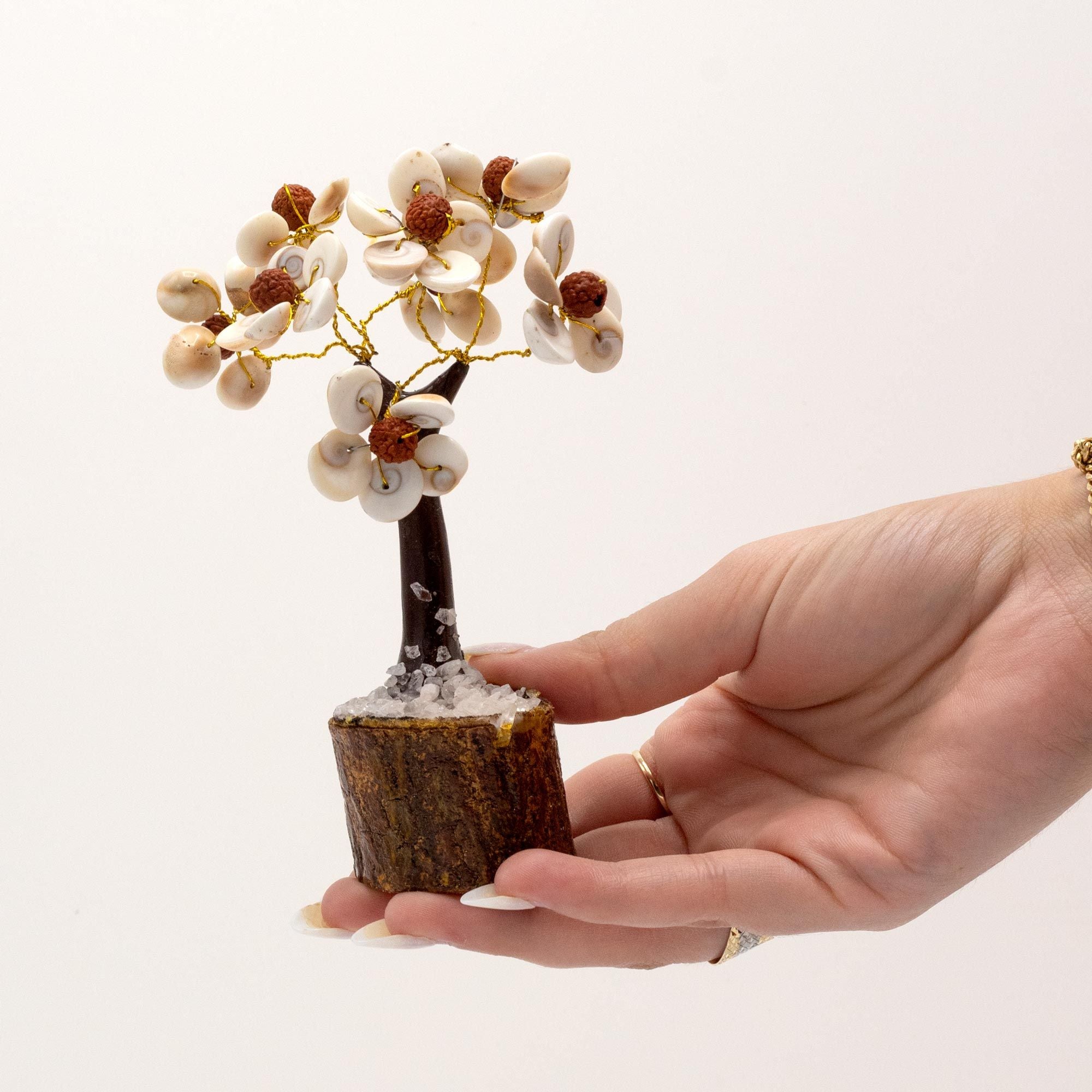 Arbre Gomati Chakra avec Rudraksha – 45 Pierres
