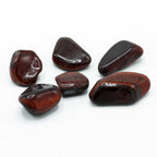 Lot de 6 Grosses Pierres Roulées – Œil de Tigre Rouge (Afrique)