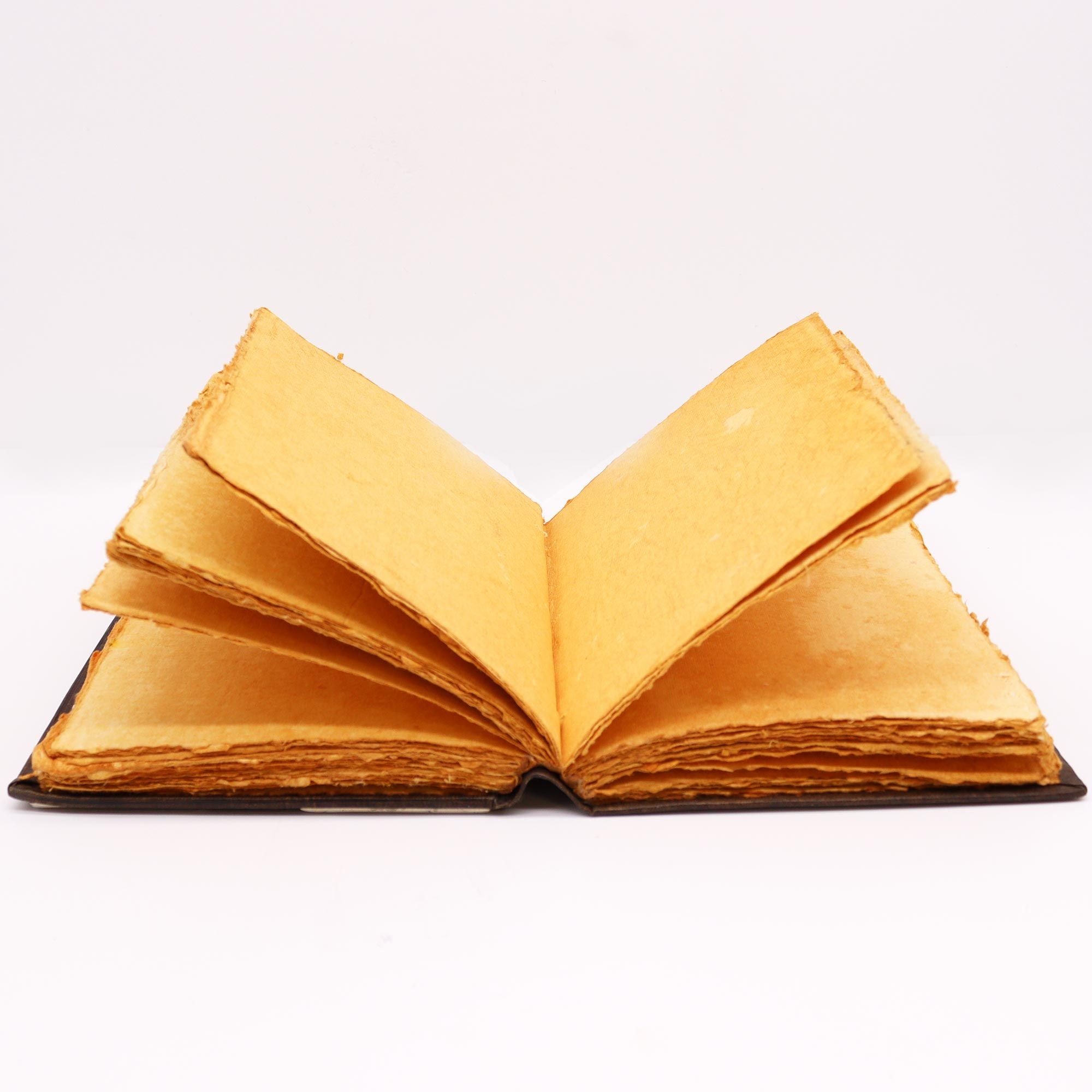 Grand Carnet en Cuir – Rose & Zinc – 200 pages Deckle – 26×18 cm