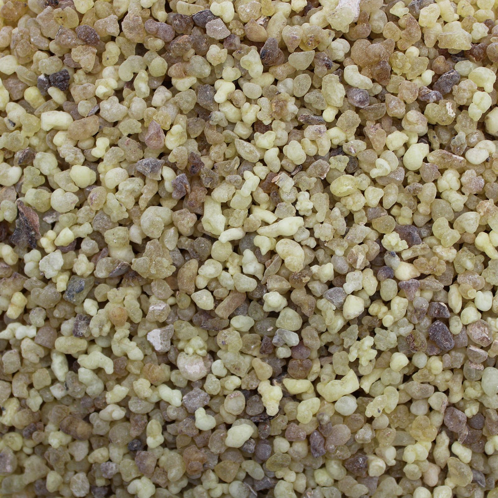 Résine d'Oliban (Frankincense) – Sachet 250 g