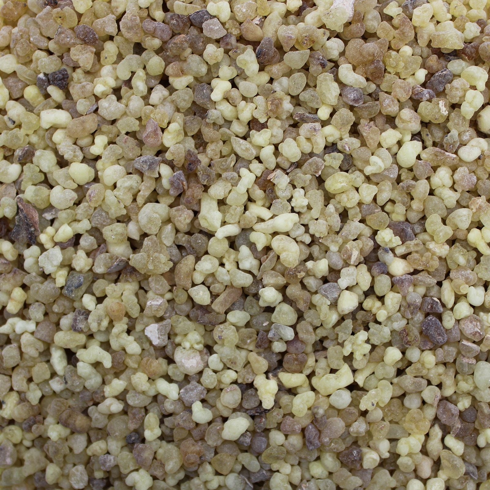 Résine d'Oliban (Frankincense) – Sachet 250 g