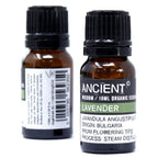 Huile Essentielle de Menthe Poivrée Bio – 10 ml