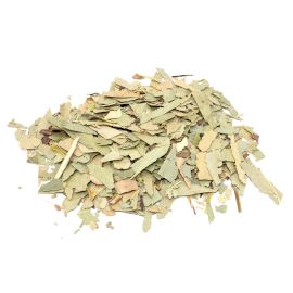 Eucalyptus (Feuilles Coupées) – Plante Magique en Vrac – 1 kg