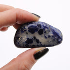 Sachet de 12 Pierres Roulées Moyennes – Sodalite Bleu Pur