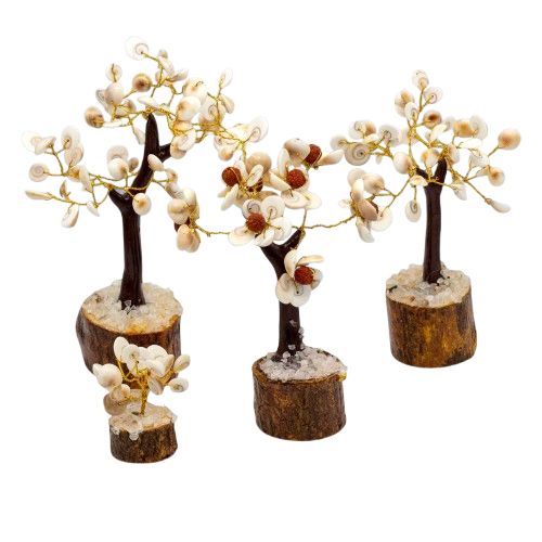Set de 4 Arbres Gomati Chakra – Petit, Moyen, Grand & Rudraksha