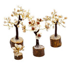 Set de 4 Arbres Gomati Chakra – Petit, Moyen, Grand & Rudraksha