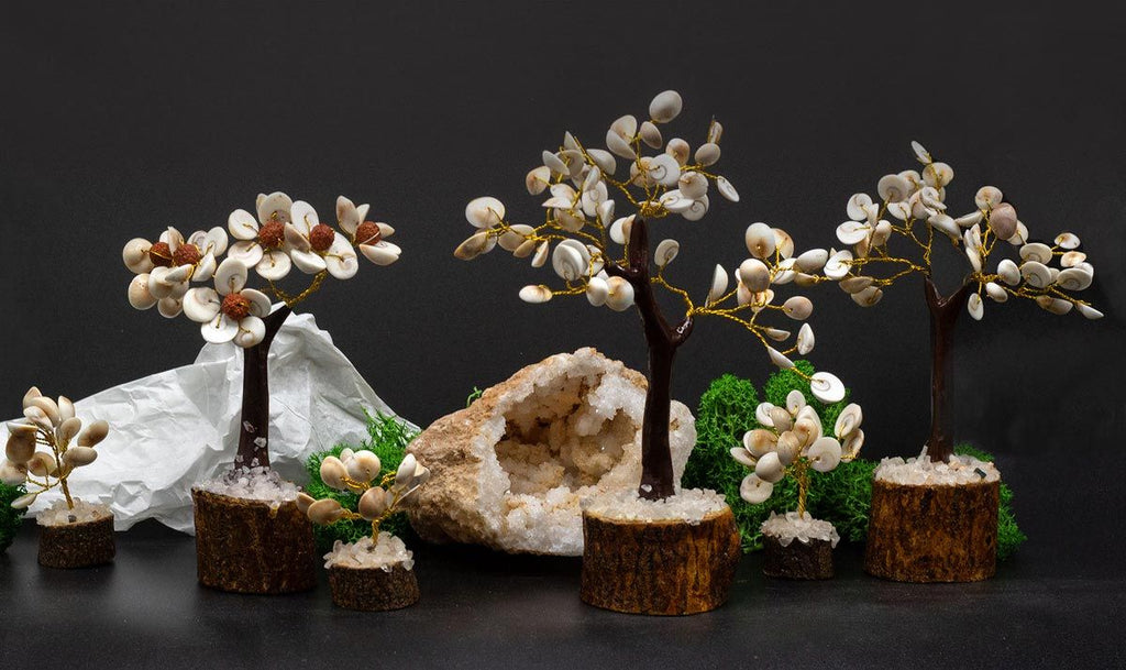 Set de 4 Arbres Gomati Chakra – Petit, Moyen, Grand & Rudraksha