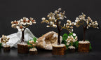 Set de 4 Arbres Gomati Chakra – Petit, Moyen, Grand & Rudraksha