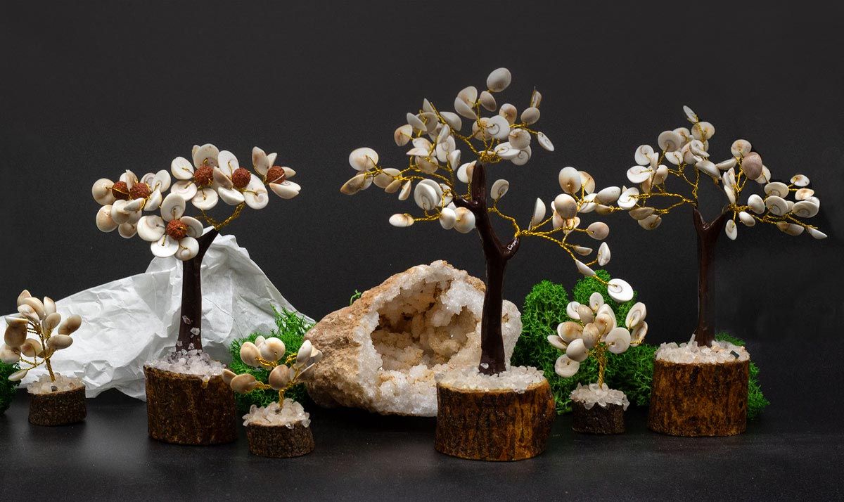 Set de 4 Arbres Gomati Chakra – Petit, Moyen, Grand & Rudraksha